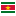 Флаг государства - Суринамский доллар